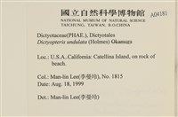 登錄號:A00004181藏品圖，第2張