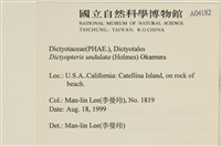 登錄號:A00004182藏品圖，第2張