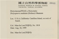 登錄號:A00004183藏品圖，第2張