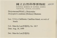 登錄號:A00004184藏品圖，第2張
