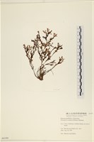 登錄號:A00004184藏品圖，第1張