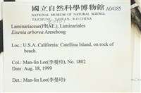 登錄號:A00004185藏品圖，第2張