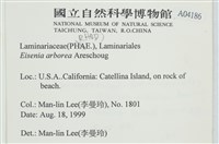 登錄號:A00004186藏品圖，第2張