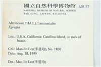 登錄號:A00004187藏品圖，第2張
