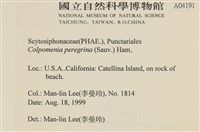 登錄號:A00004191藏品圖，第2張