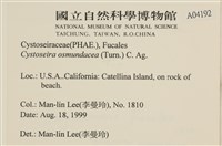 登錄號:A00004192藏品圖，第2張