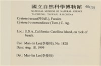 登錄號:A00004193藏品圖，第2張