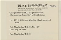 登錄號:A00004204藏品圖，第2張