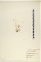 登錄號:A00004204藏品圖，第3張