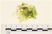 大石蓴, 石蓴藏品圖，第1張