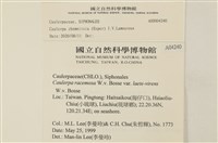 登錄號:A00004240藏品圖，第2張