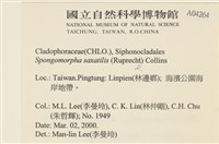 登錄號:A00004264藏品圖，第2張