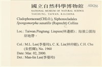 登錄號:A00004266藏品圖，第2張