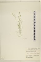 登錄號:A00004266藏品圖，第3張