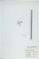 登錄號:A00004271藏品圖，第3張