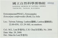 絲狀外子藻, 水雲藏品圖，第2張