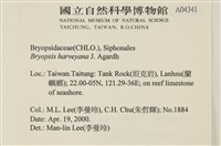 偏列羽藻藏品圖，第2張