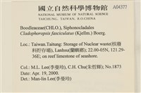 登錄號:A00004377藏品圖，第2張