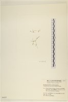 登錄號:A00004377藏品圖，第3張