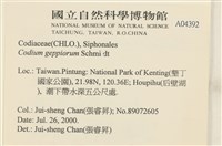 登錄號:A00004392藏品圖，第2張