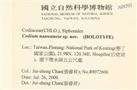 登錄號:A00004393藏品圖，第2張