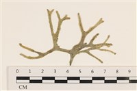 登錄號:A00004393藏品圖，第1張