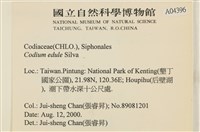 登錄號:A00004396藏品圖，第2張