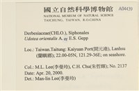 登錄號:A00004439藏品圖，第2張