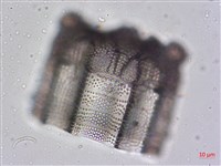 登錄號:A00004476藏品圖，第3張