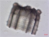 登錄號:A00004476藏品圖，第4張
