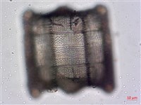 登錄號:A00004476藏品圖，第5張