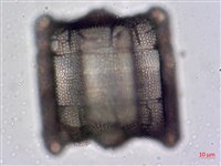 登錄號:A00004476藏品圖，第6張