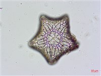 登錄號:A00004477藏品圖，第3張