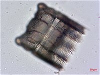 登錄號:A00004477藏品圖，第7張