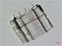 登錄號:A00004477藏品圖，第8張