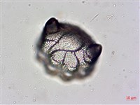 登錄號:A00004478藏品圖，第3張