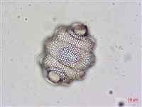 登錄號:A00004478藏品圖，第4張