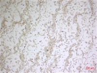 登錄號:A00004479藏品圖，第2張