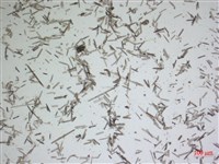 登錄號:A00004480藏品圖，第2張
