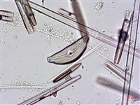 登錄號:A00004480藏品圖，第3張