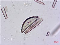 登錄號:A00004480藏品圖，第4張