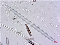 登錄號:A00004480藏品圖，第6張