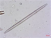登錄號:A00004480藏品圖，第8張