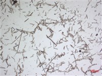 登錄號:A00004481藏品圖，第2張