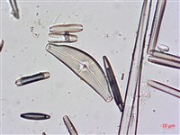 登錄號:A00004481藏品圖，第4張
