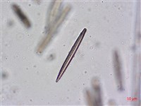 登錄號:A00004481藏品圖，第7張