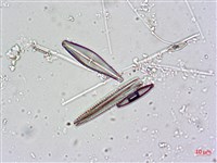 登錄號:A00004481藏品圖，第10張