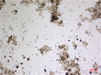登錄號:A00004483藏品圖，第2張
