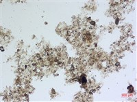 登錄號:A00004484藏品圖，第2張