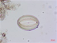 登錄號:A00004484藏品圖，第5張